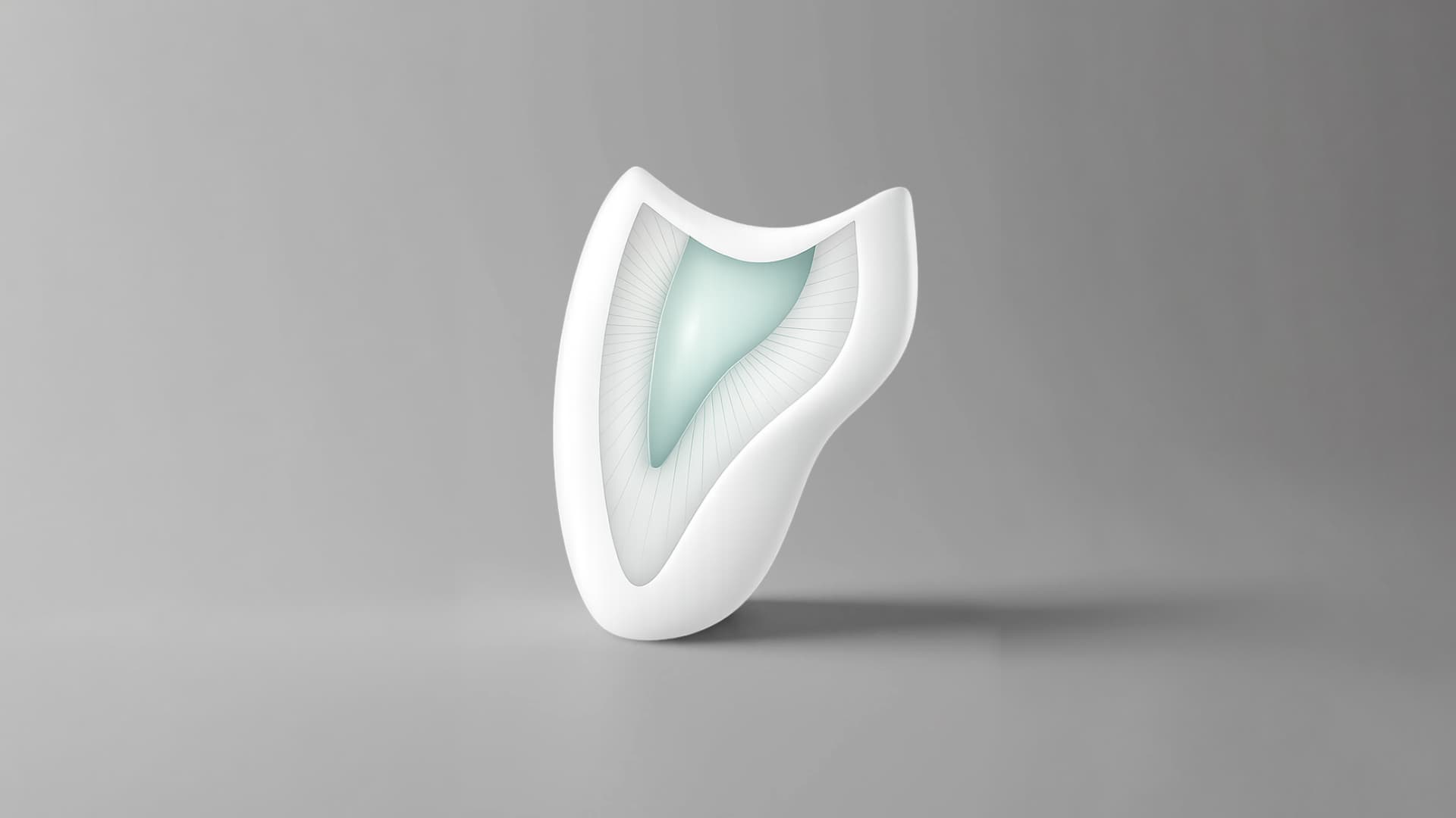 用于设计一日瓷贴面的牙齿3D模型