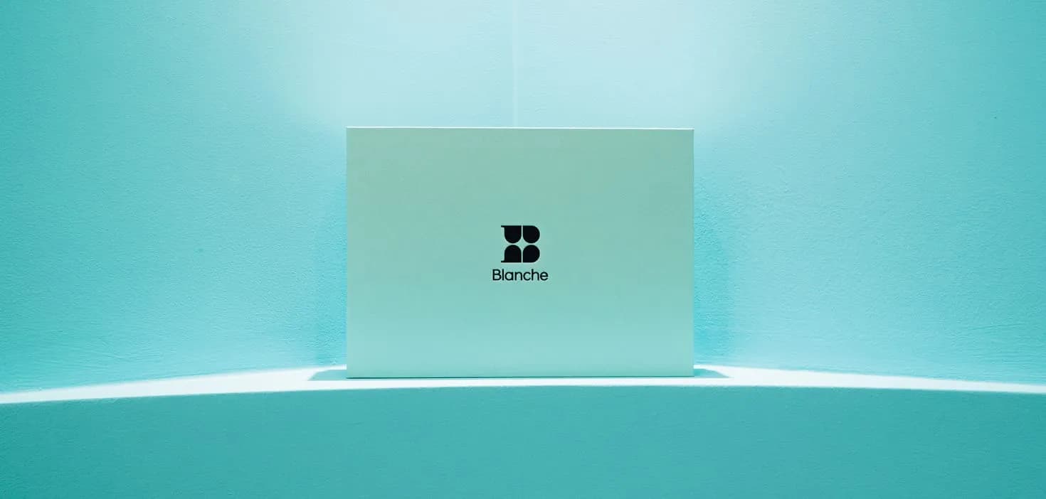 Packaging image carrying Blanche Dental's brand identity