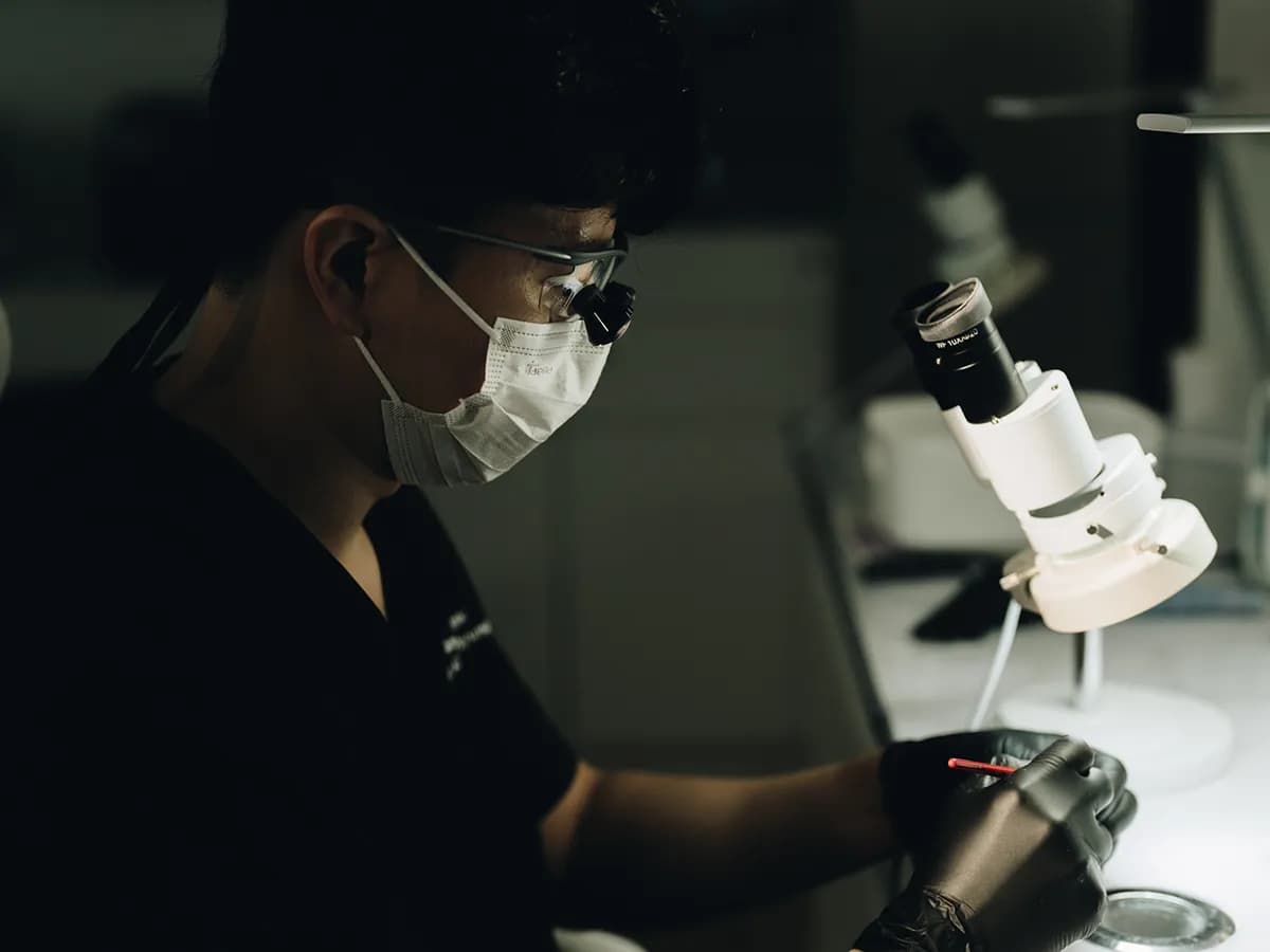 블랑쉬랩 기공사가 현미경으로 라미네이트를 다듬는 모습